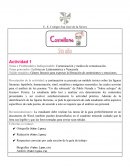 La lírica en Latinoamérica y Venezuela