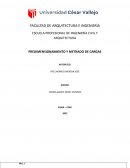 Informe Estructuración y cargas