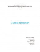 Cuadro Resumen Técnicas de Lectura