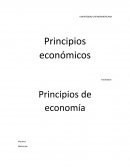 Principios economicos