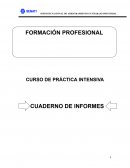 Instrucciones para el uso del cuaderno de informes