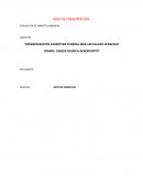 Modernización carretera federal mex-140 xalapa veracruz