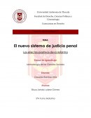 El nuevo sistema de justicia penal.
