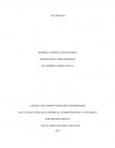 Actividad de contabilidad. Contaduria publica Regulación Contable Nacional