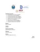 Taller de Liderazgo Coppel (Electrónicos y Muebles)