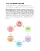 El análisis funcional