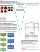 Práctica No. 8: Muestreo, recuento e identificación de bacterias del suelo: ciclos del carbono y nitrógeno