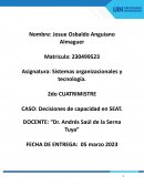 CASO: Decisiones de capacidad en SEAT