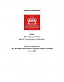 Desarrollo organizacional . Caso: Williams & Norton Insurance: Sustaining Customer Engagement