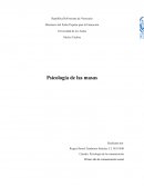 Psicología de las masas. ¿Qué es una masa para Lebon y para Freud?