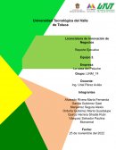 Reporte ejecutivo La casa del peluche