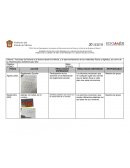 Acciones del fomento a la lectura