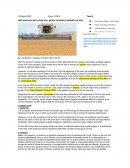 Noticia de ingles-COVID 19. Inflación y las problemáticas financieras