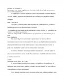 Estado autocratico