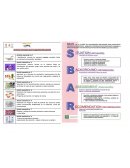 Acciones esenciales para la seguridad del paciente