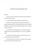 Resolución De La Guía Para Atrapada En La Red