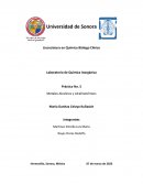 Práctica No. 5 Metales Alcalinos y Alcalinotérreos