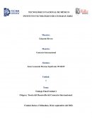 Origen y Teoría del Desarrollo del Comercio Internacional