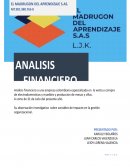 Análisis financiero de la empresa El Madrugon Del Aprendizaje S.A.S