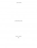 Accidente de aplastamiento por caída de carga desde cargador frontal