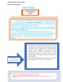 Trabajo Practico Virus y Bacterias