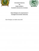 Adicciones. Posibles causas de la adicción