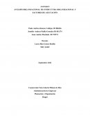 Análisis organizacional iii: estructura organizacional y factores de afectación