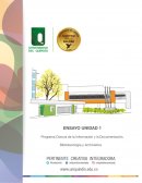 Crimen transnacional organizado