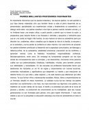 Cuartilla Padres brillantes Profesores fascinantes