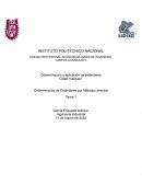 Determinación de Estándares por Métodos directos