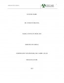 Ensayo sobre documental Nuestro Padre