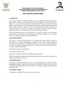 Plan analitico del Tercer grado