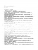 La memoria y el aprendizaje: ‘experiencia’ y ‘habilidad’ en el cerebro