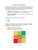 Análisis de la Matriz McKinsey
