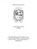 Proyecto curricular de ingeniería ambiental