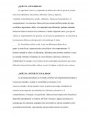 ¿Qué es la diversidad?