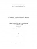 Puntos de vista arminiano – wesleyano y calvinista