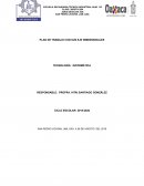 Plan de trabajo con sus eje dimensionales tecnología: informática