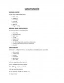Alimentación sistematizada clasificación