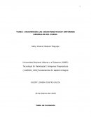 Fundamentos En Gestión Integral