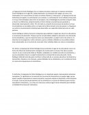 La Toparquía de Simón Rodríguez