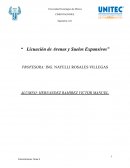 Licuación de Arenas y Suelos Expansivos