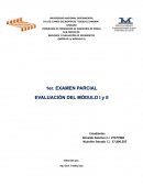 GEOLOGÍA Y EVALUACIÓN DE YACIMIENTOS (MÓDULO I y MÓDULO II)