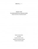 Antropologia linguistica observacion