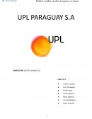 Analisis situacional UPL Paraguay