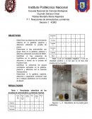 Cuestionario 5 de la practica de microbiologia