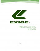 Informe ejecutivo Exige Industrial