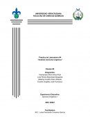 Práctica 4 “Análisis funcional orgánico”