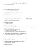 Guia examen de agronomia 3er parcial