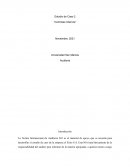 Estudio de Caso 2 “Controles Internos”